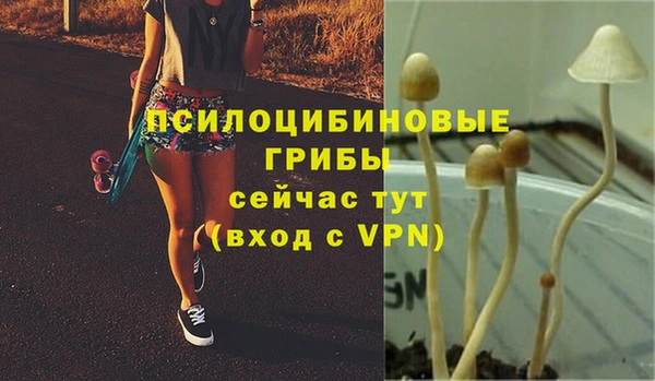 МДМА Лиски